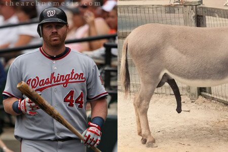 Adam Dunn Big Donkey